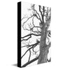 Bobcat Tree Canvas Wall Art