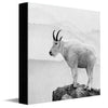 Rocky Point Canvas Wall Art