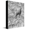 Lookout Canvas Wall Art