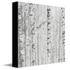 Birch Owl Canvas Wall Art