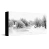 Winter Stag Canvas Wall Art