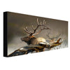 Majestic Elk Stretched Canvas Wall Art