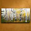 Morning Birch Grove Personalized Stretched Canvas