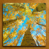 Aspen Sky Personalized Stretched Canvases