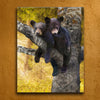 Bear Cub Love Personalized Stretched Canvas - Medium