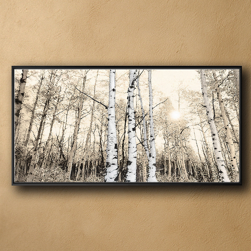 Sunrise Aspens Personalized Wall Art
