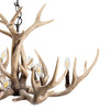 Wilderness Glow Antler Chandelier