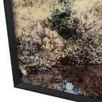 Wild & Free Wall Art - OUT OF STOCK UNTIL 06/03/2026