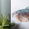 Fin Lessons Wall Art - Set of 4 - OUT OF STOCK UNTIL 08/27/2026