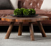 Natural Edge Coffee Table