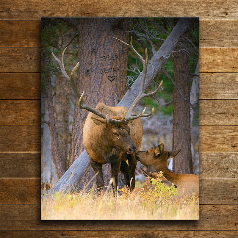 Woodland Sweethearts Personalized Wall Art
