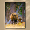 Woodland Sweethearts Personalized Stretched Canvas - Large