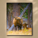 Woodland Sweethearts Personalized Stretched Canvas - Large