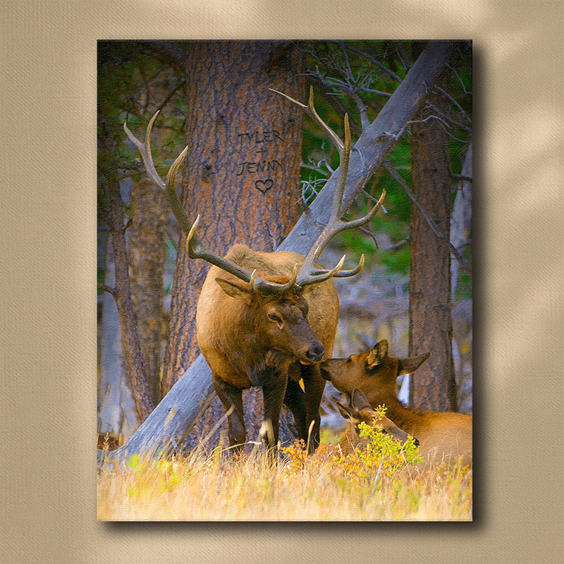 Woodland Sweethearts Personalized Wall Art