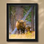 Woodland Sweethearts Personalized Framed Print