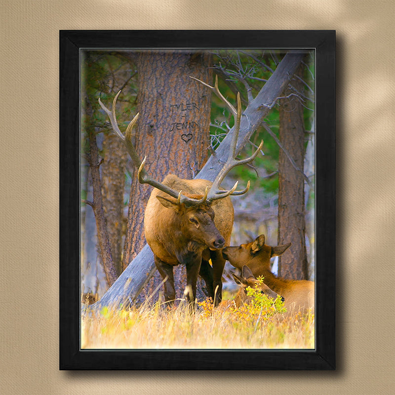 Woodland Sweethearts Personalized Wall Art
