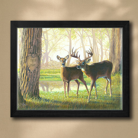 Personalized Whitetail Deer Framed Print - Spring