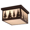 Big Sky Outdoor Flush Mount Ceiling Light