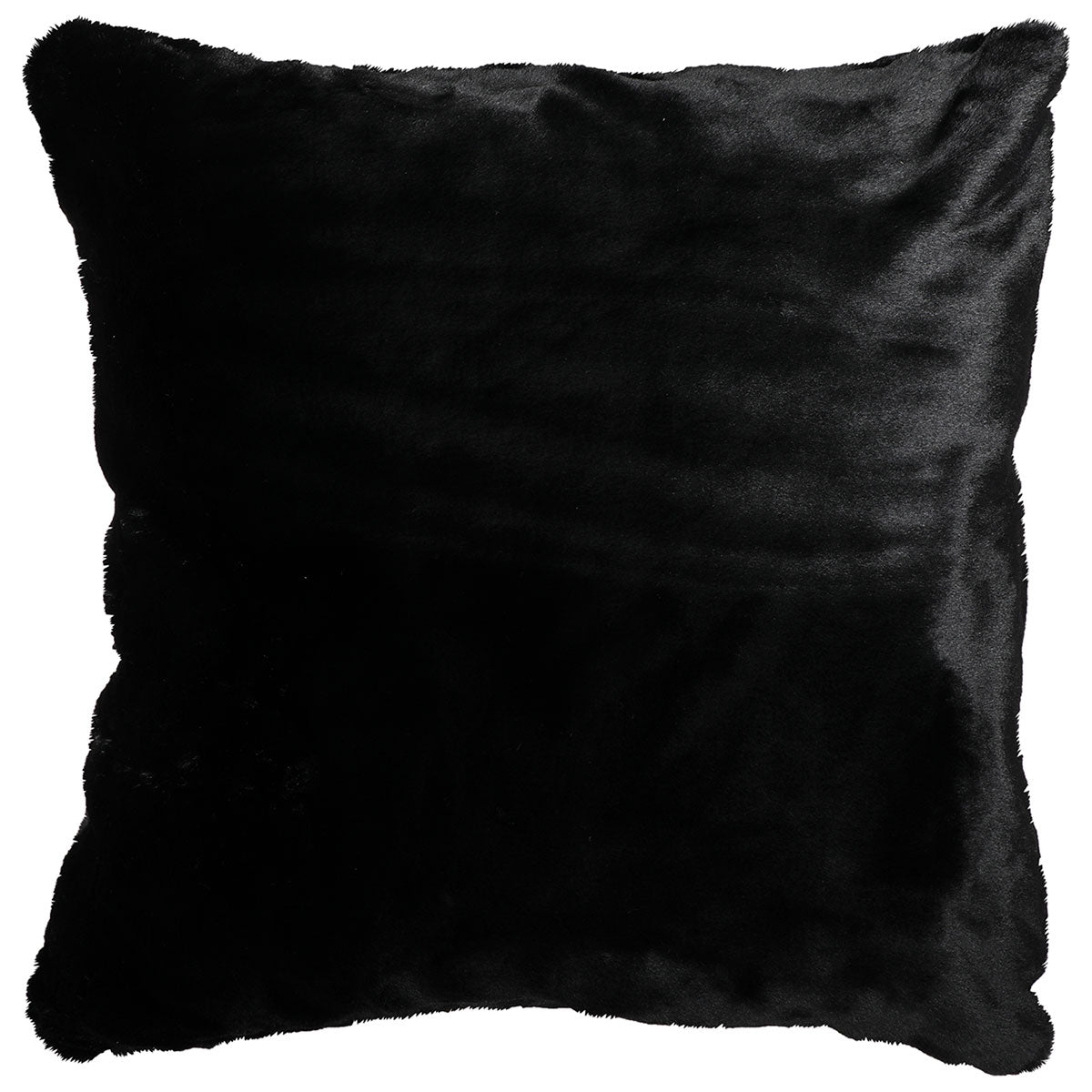 Black Bear Euro Sham
