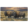 Bison Pair Floor Mat - 2 x 4