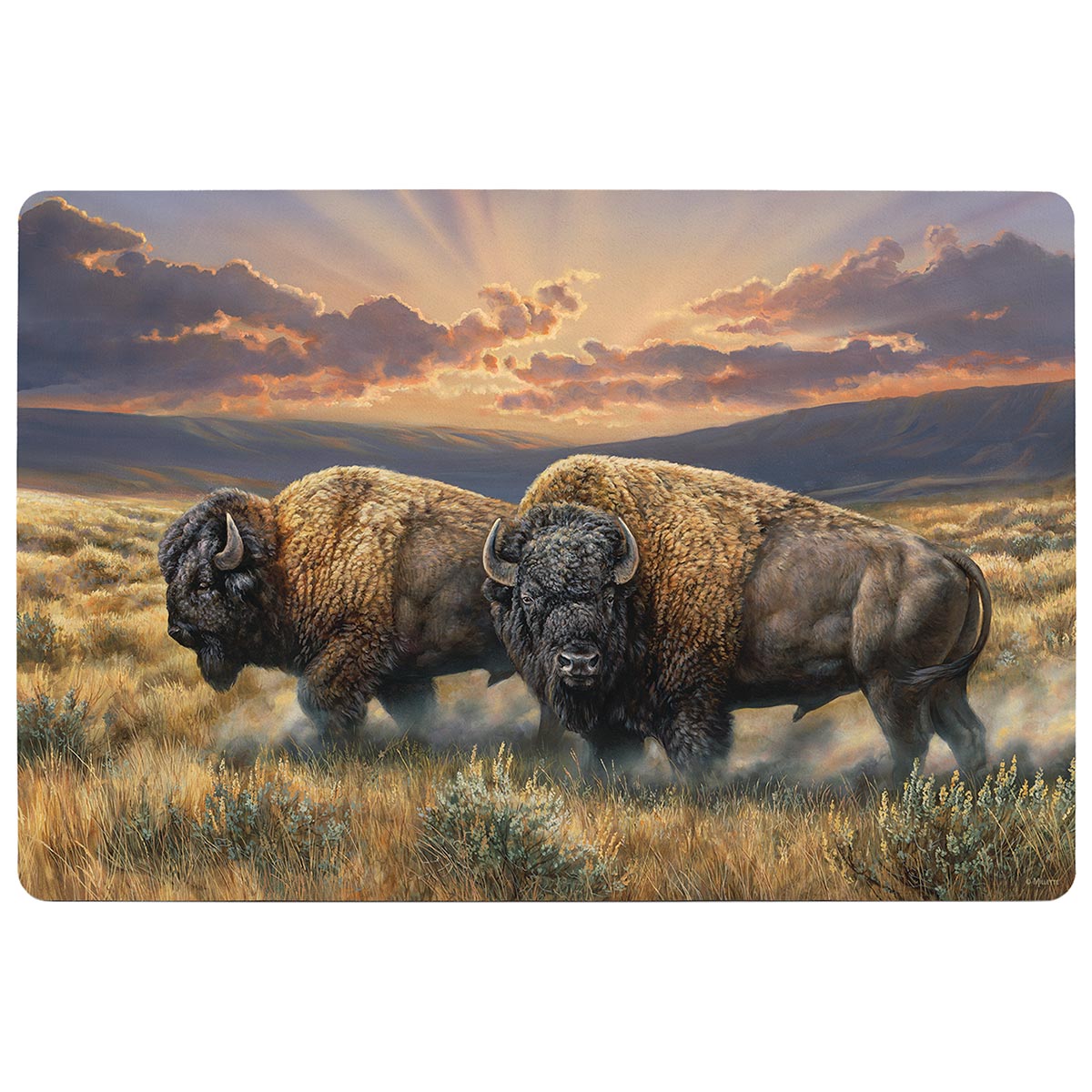 Bison Pair Floor Mat
