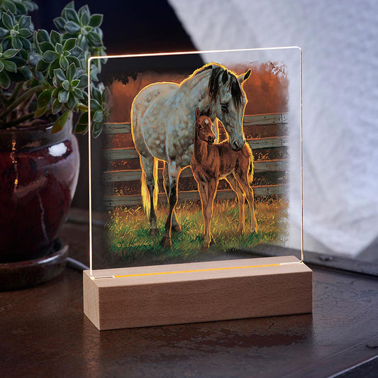 Quarter Horse Night Light