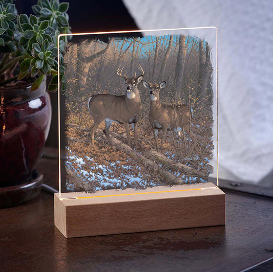Winter Deer Night Light