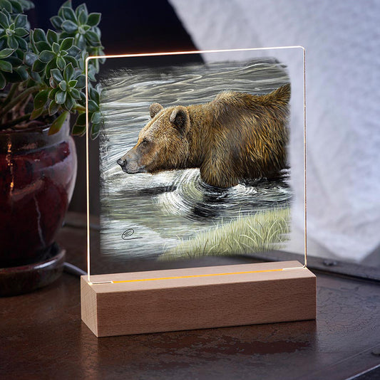 Wading Bear Night Light