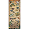 North American Freshwater Fish Wood Chart