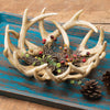 Antler Décor
