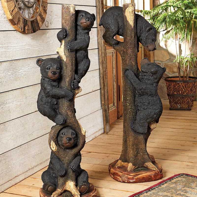 collection featured image
