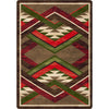 Infinite Gulch Tobacco Rug - 4 x 5
