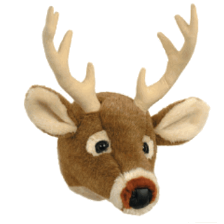 Kids Cabin Decor