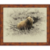 Grizzly Gaze 3D Canvas