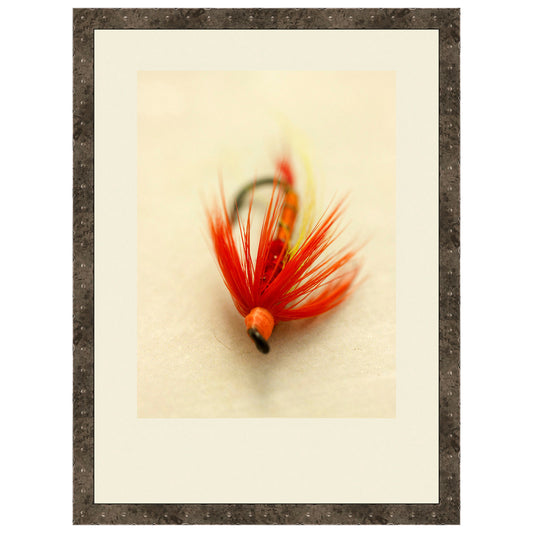 Macro Lures VIII Framed Print