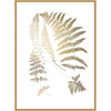 Golden Fern II Framed Print