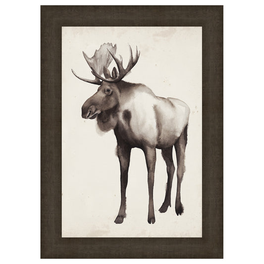 Northern Journey II Framed Print