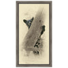 Hello Black Bear Framed Canvas