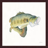 River Rapids Large Mouth Bass Wall Art
