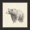 Bear Sketch Wall Art