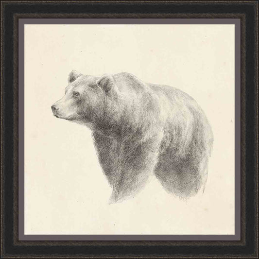 Bear Sketch Wall Art