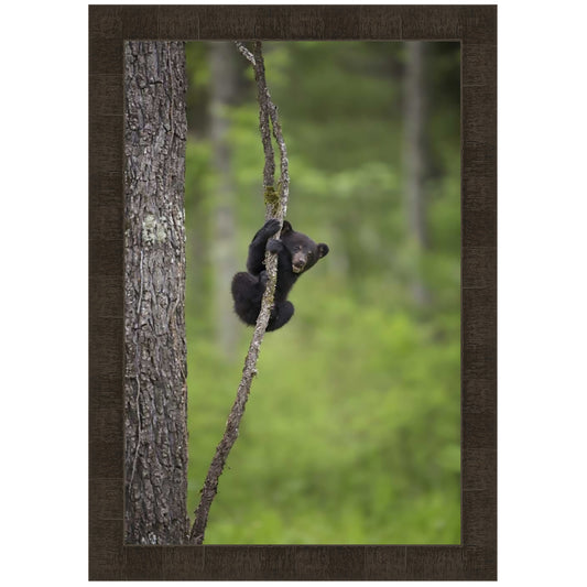 Hanging Around II Framed Art