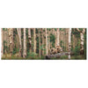 Personalized Aspen Bear Stretched Canvas