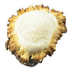 Deer Burr Cabinet Knob - Heart Shape - Set of 2 - OUT OF STOCK UNTIL 08/18/2026