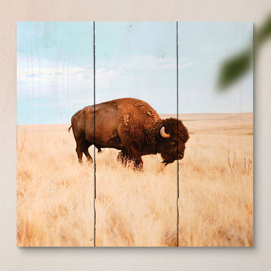 Golden Plains Buffalo Pallet Wall Hanging