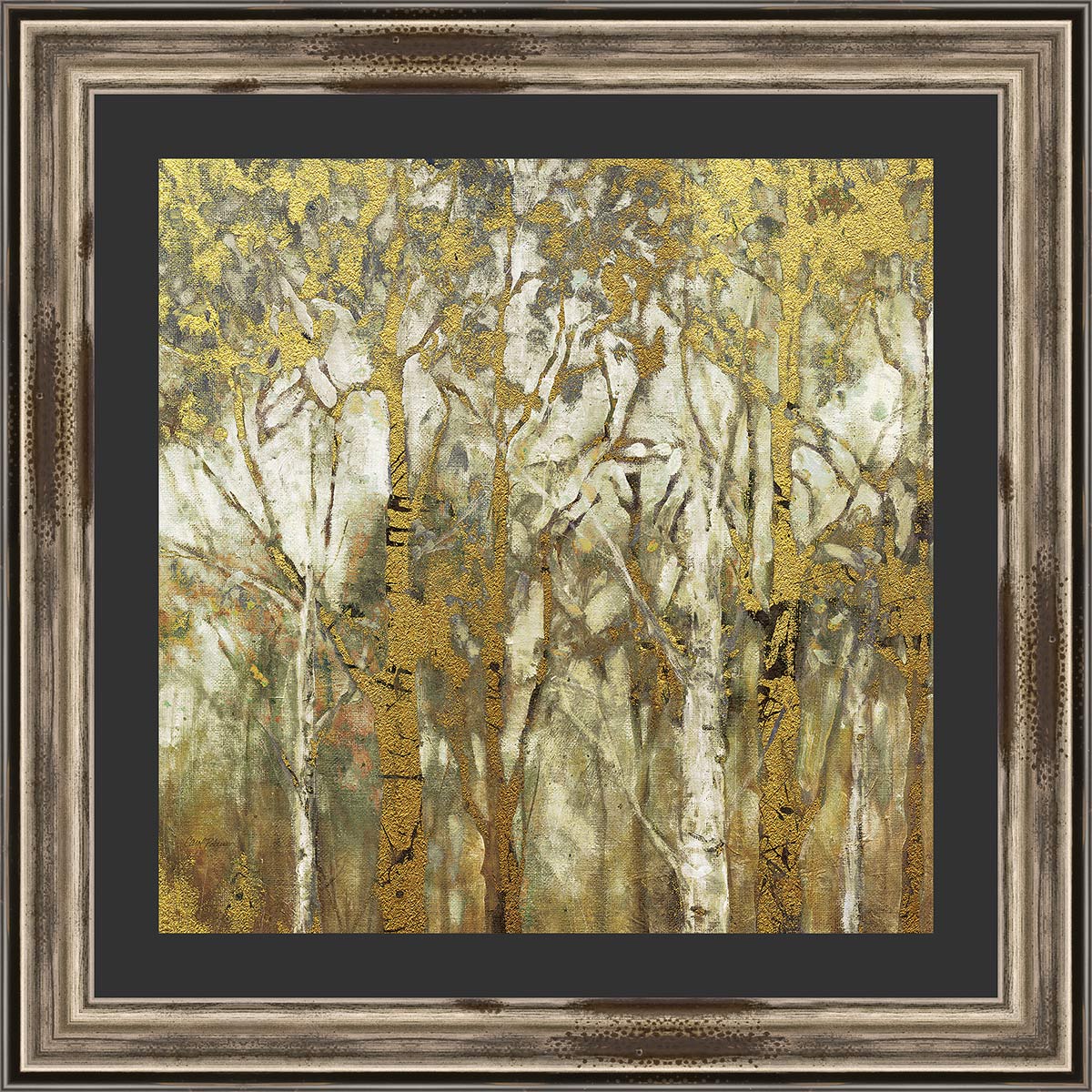 Western Birch Forest Framed Print