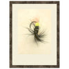 Macro Lures VII Framed Print