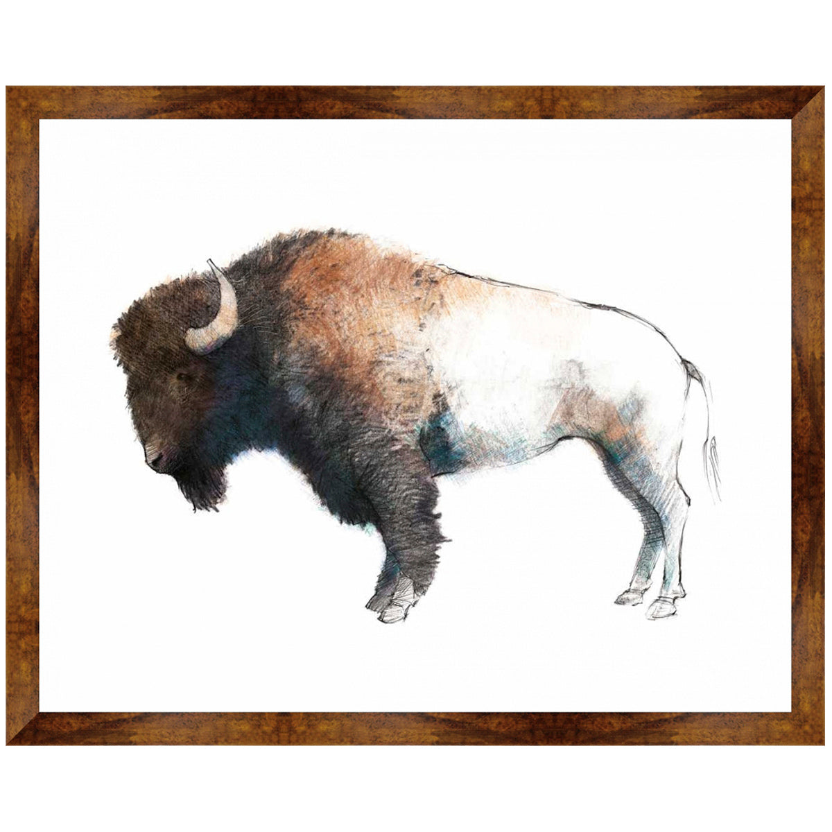 Bison Profile Canvas Art