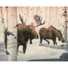Birch Winter Moose Couple Personalized Stretched Canvas - Small