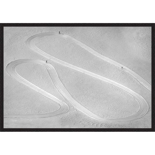Winter Racing Wall Art